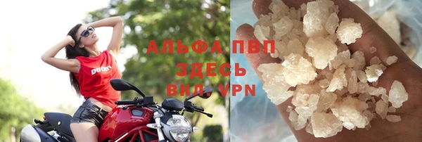 первитин Богданович