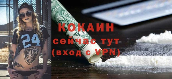 первитин Богданович