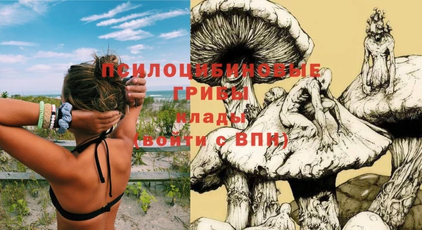 мдпв Богородицк