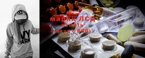 молекула духа Бородино