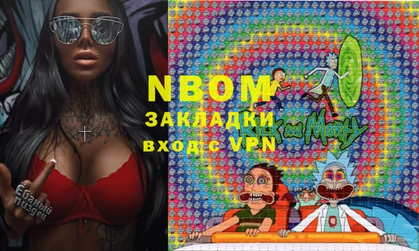 молекула духа Бородино
